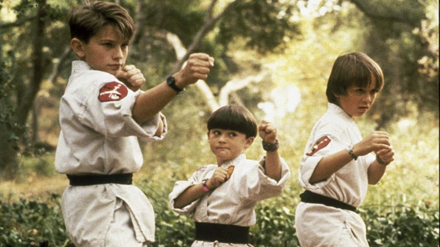 Foto de TRES PEQUEÑOS NINJAS