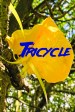 Tricycle