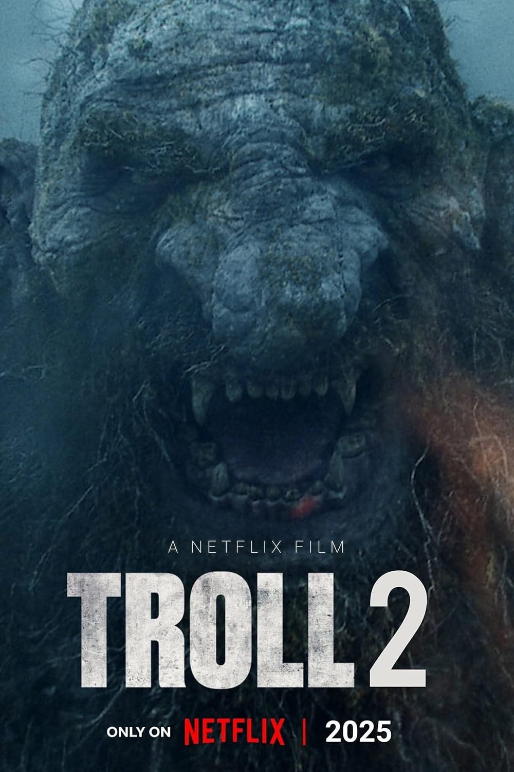 Poster de TROLL 2