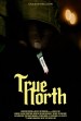 True North