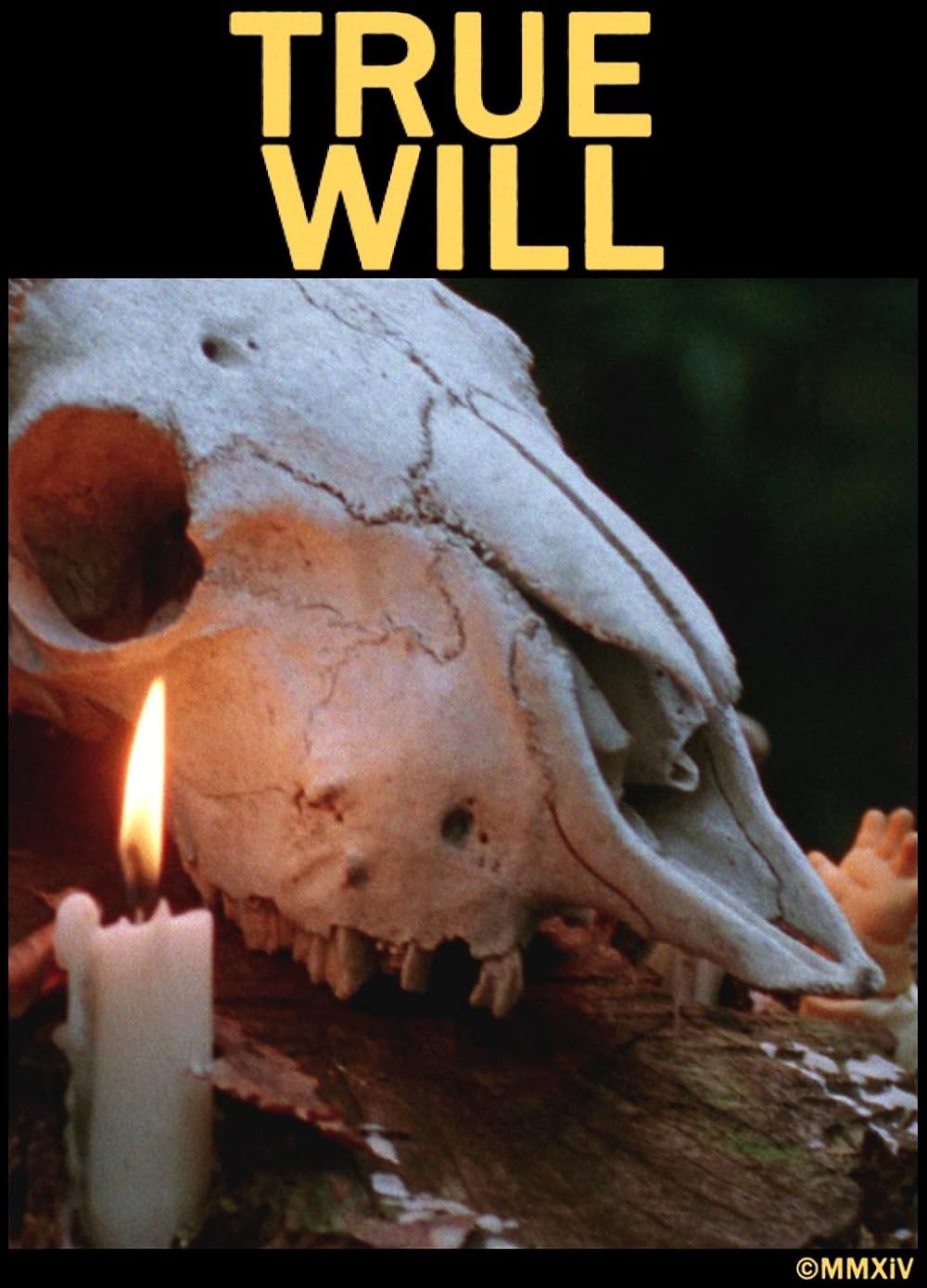 Poster de TRUE WILL
