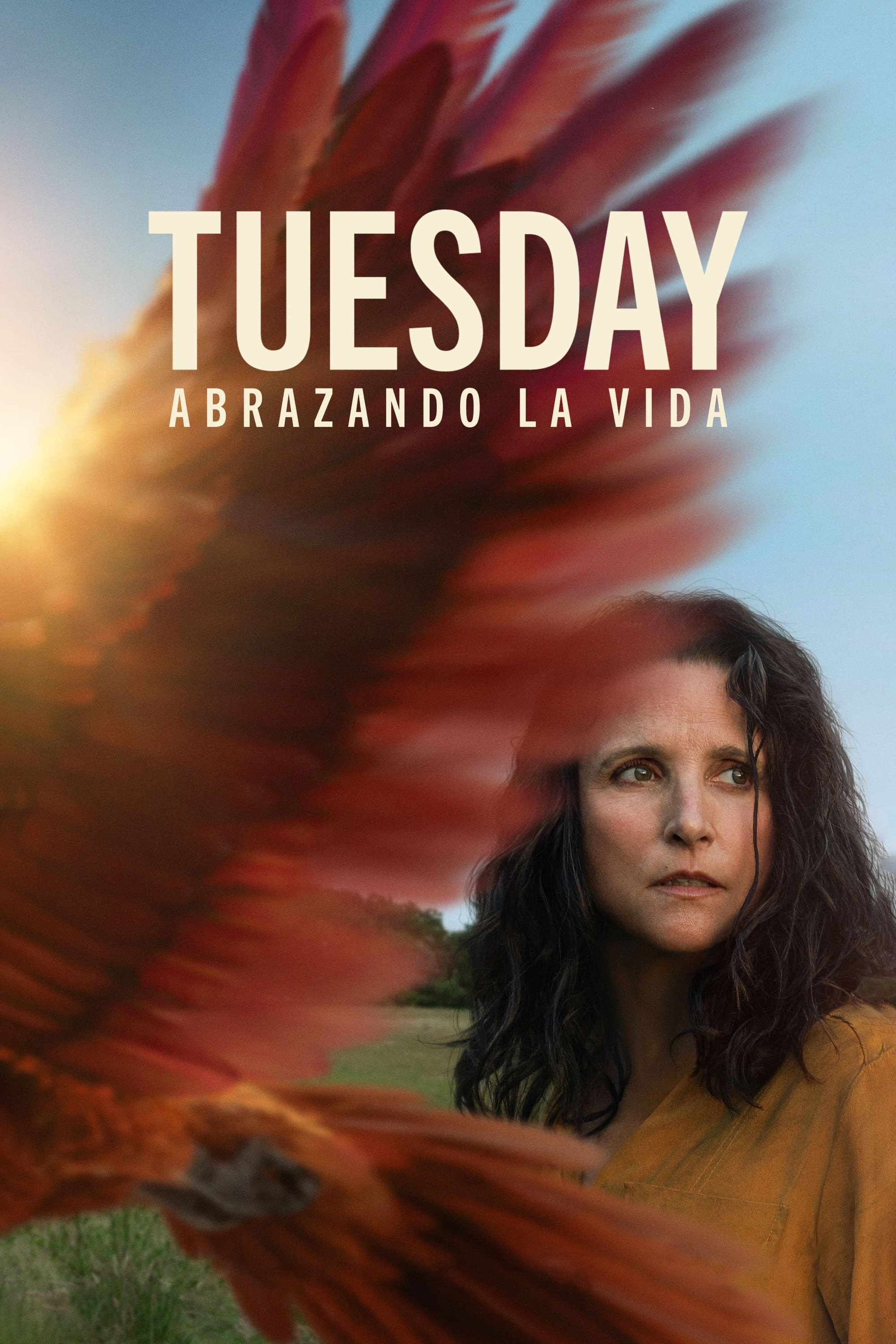 Poster de TUESDAY en español
