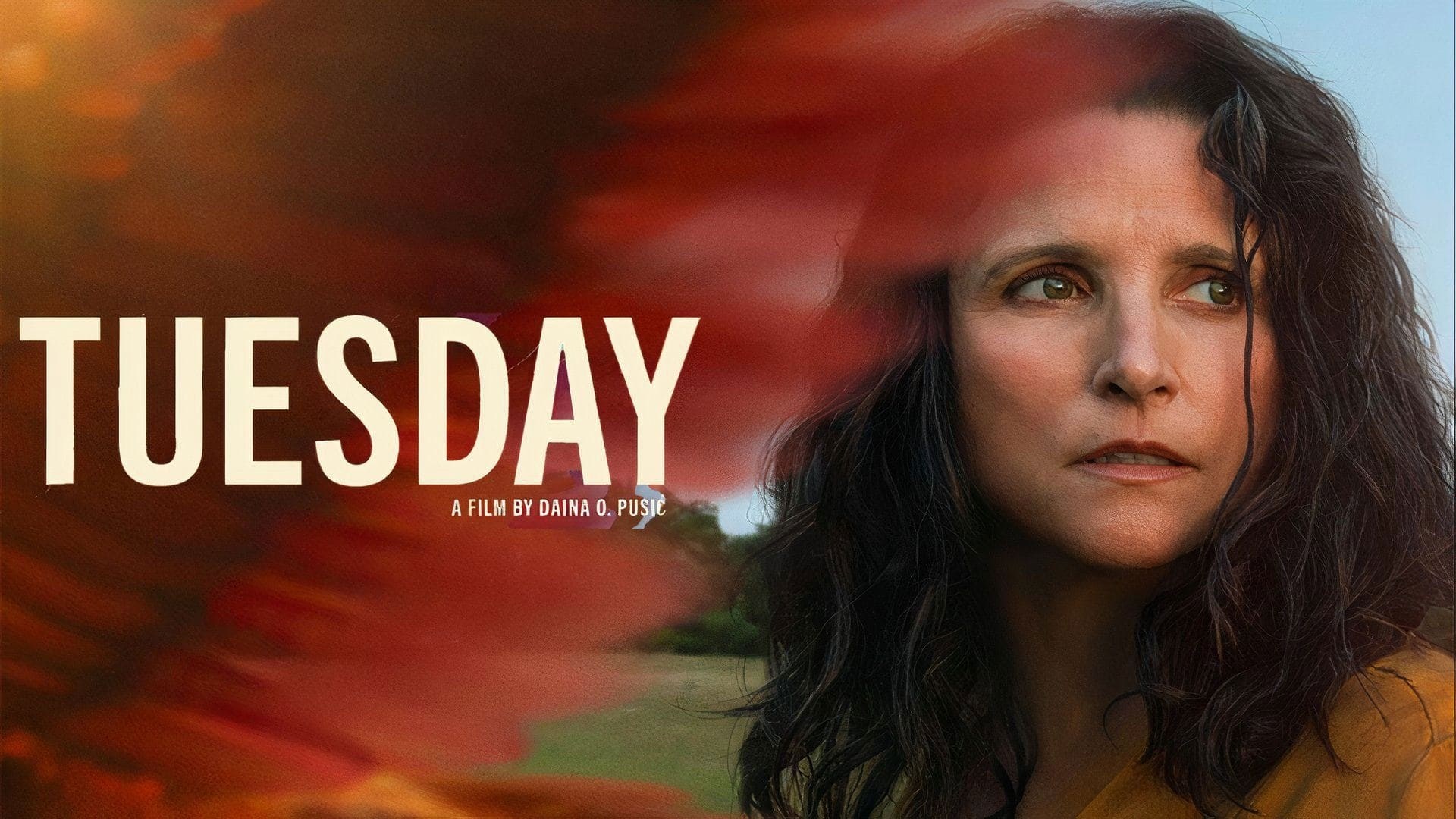 Foto de TUESDAY