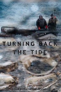 Turning Back the Tide: Can Oysters Save Our Oceans?