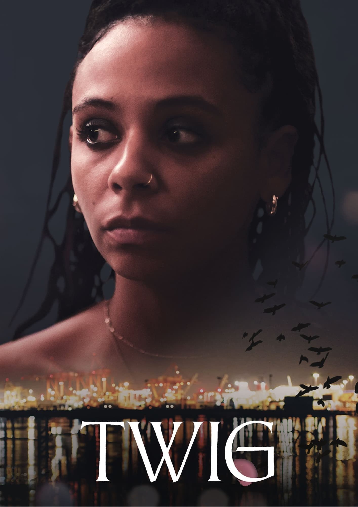 Poster de TWIG