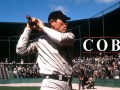 Foto de Cobb