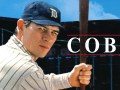 Foto de Cobb