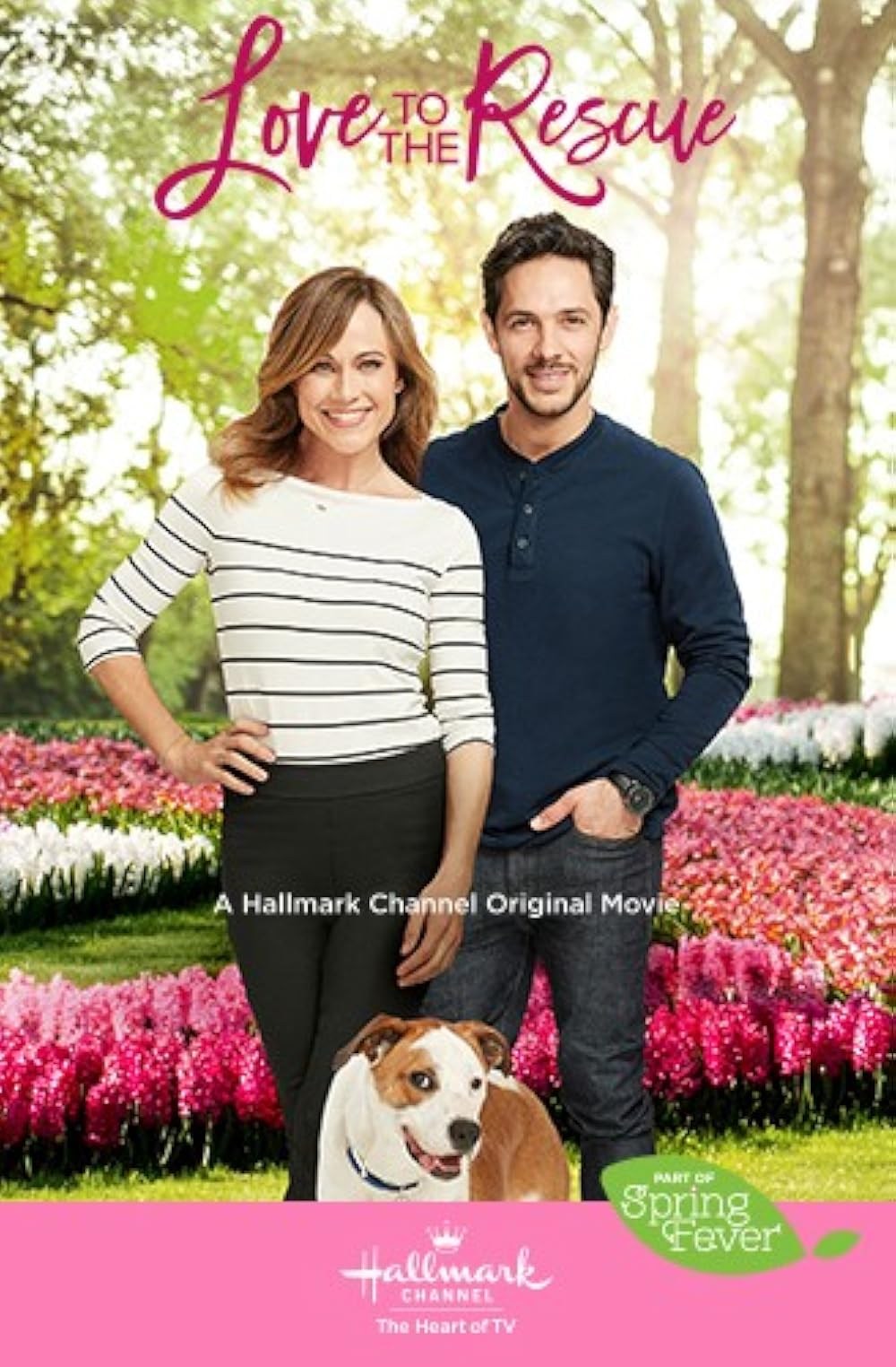 Poster de UN AMOR INESPERADO