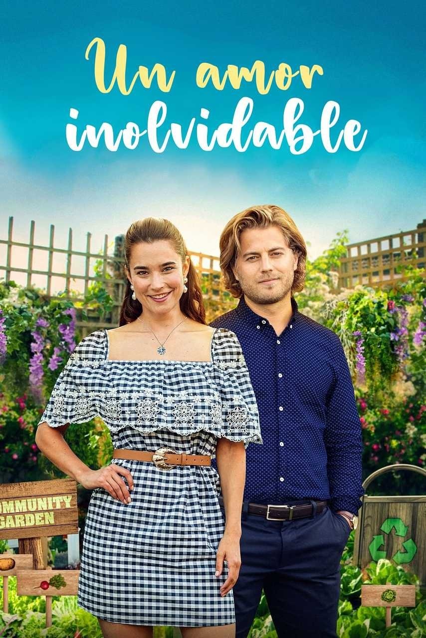 Poster de UN AMOR INOLVIDABLE en español