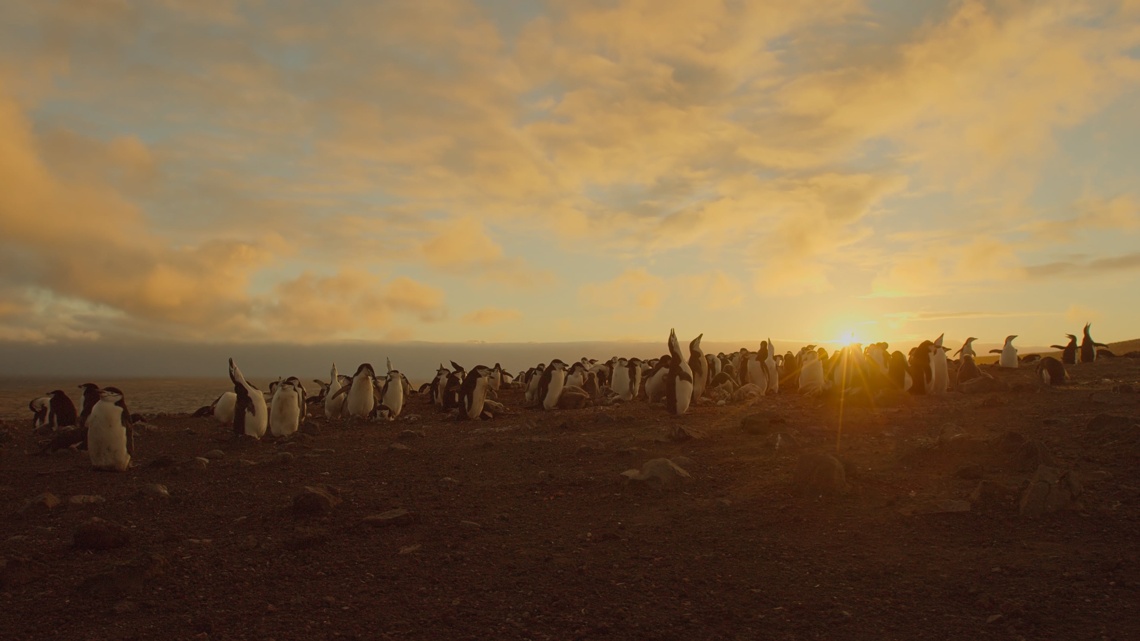 Foto de UN DÍA MARAVILLOSO EN LA TIERRA