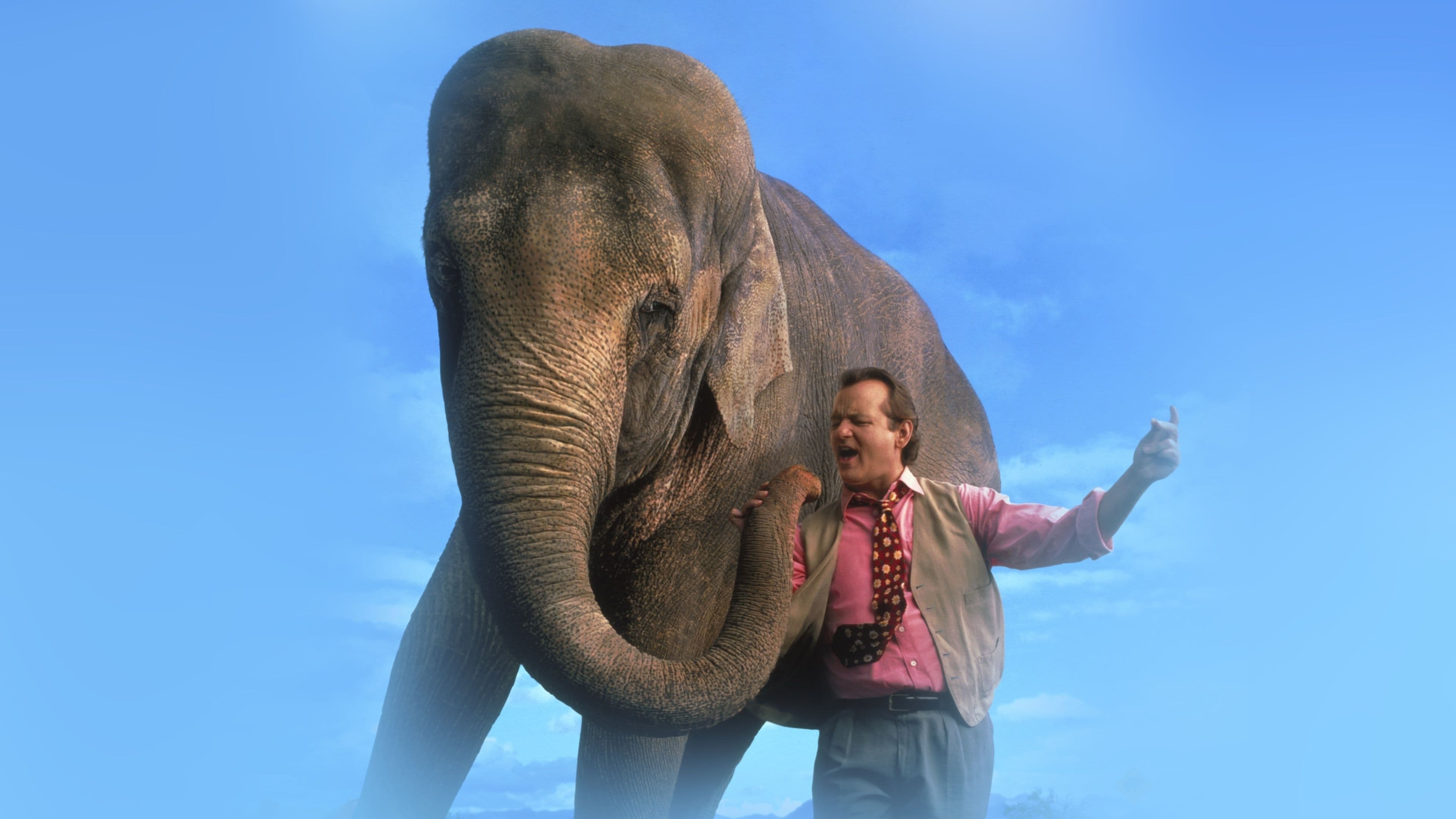 Foto de UN ELEFANTE LLAMADO VERA