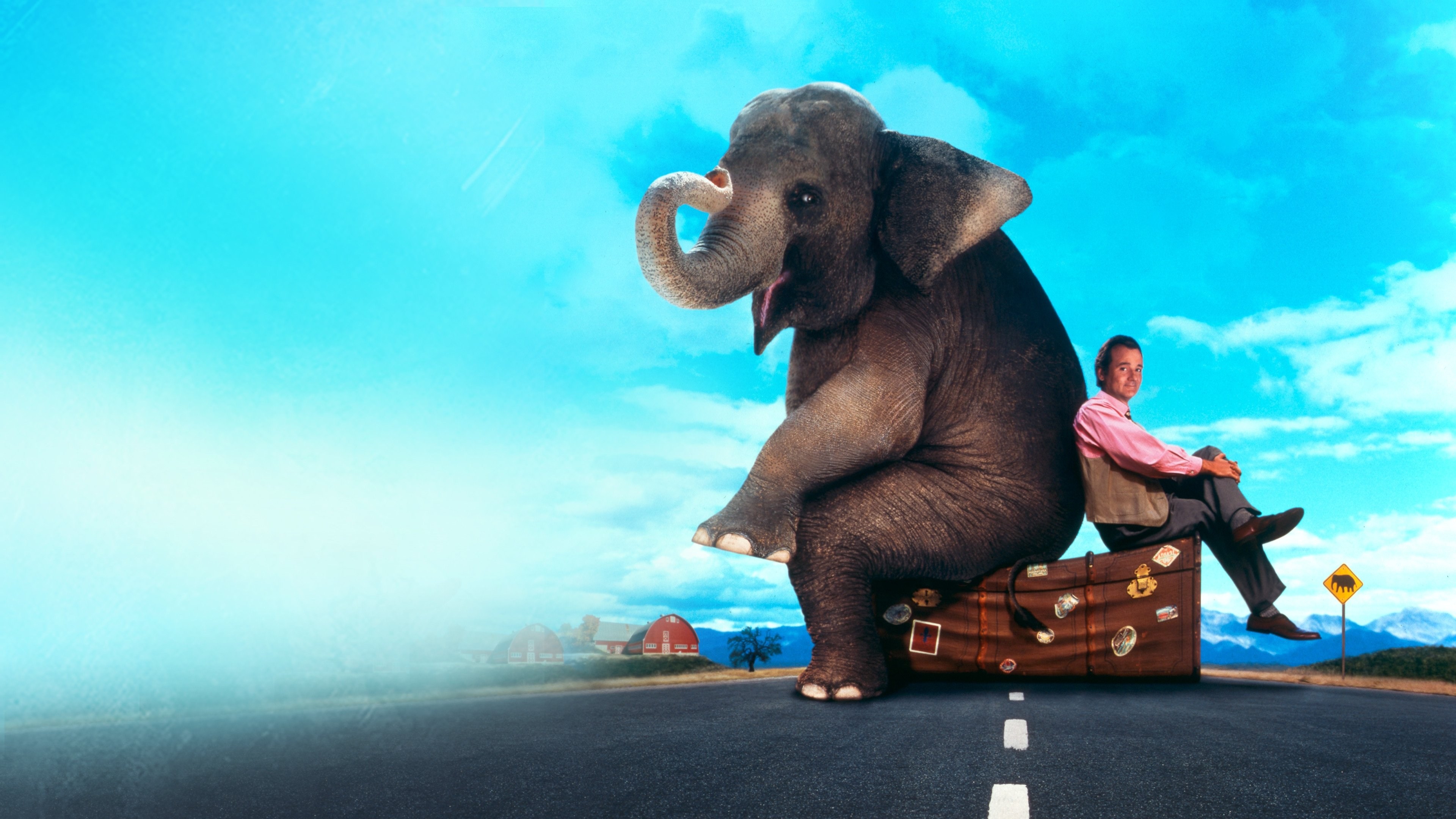 Foto de UN ELEFANTE LLAMADO VERA