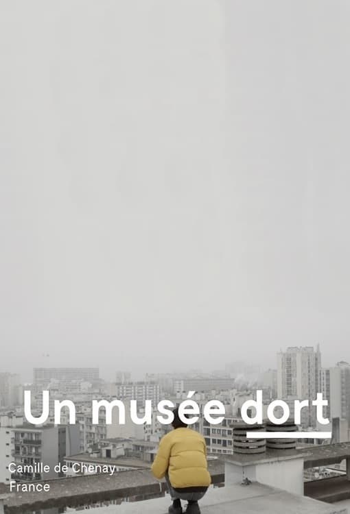Poster de UN MUSÉE DORT