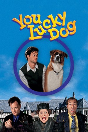 Un perro con suerte