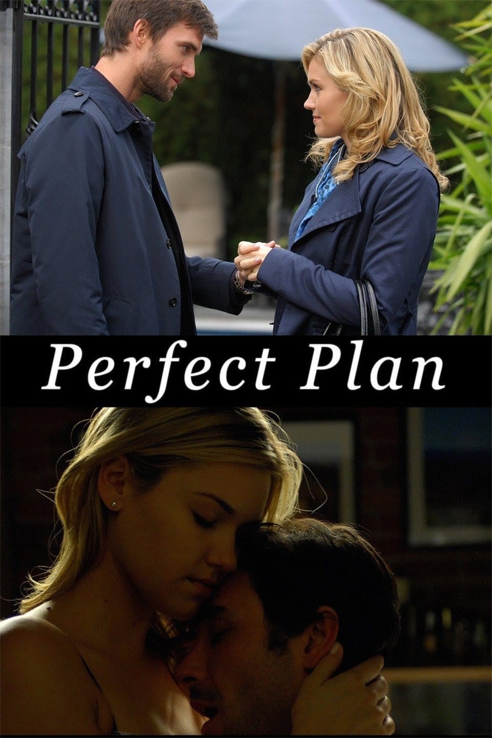 Poster de UN PLAN PERFECTO