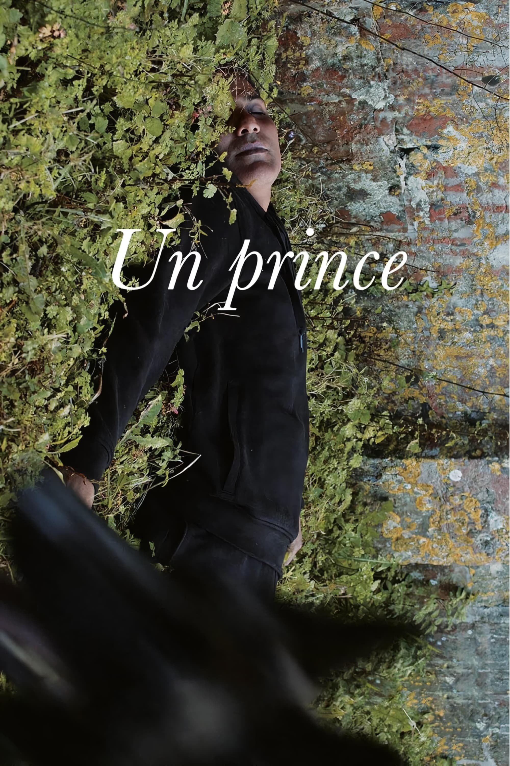 Poster de UN PRINCE en inglés