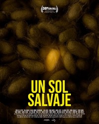 Un sol salvaje