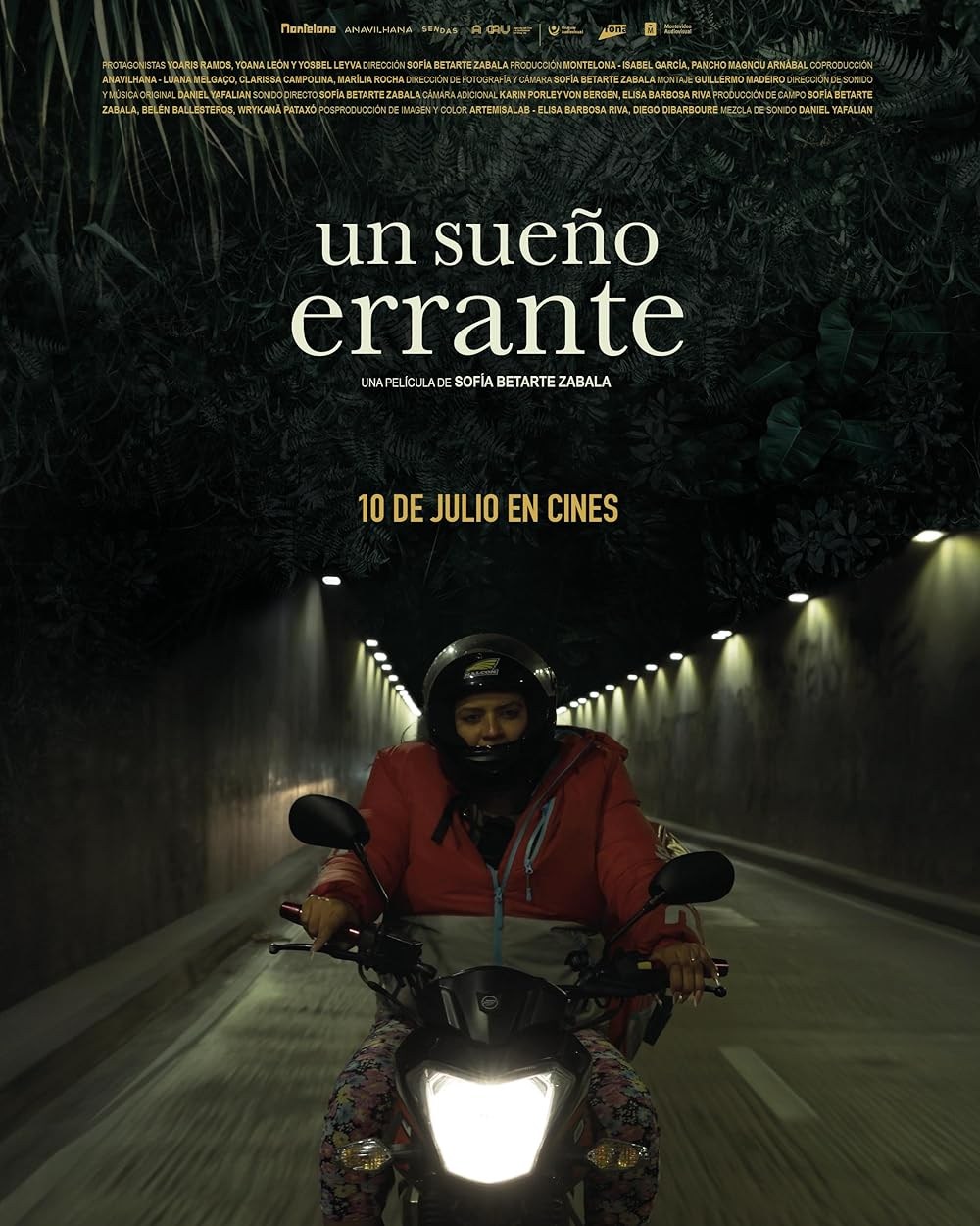 Poster de UN SUEÑO ERRANTE
