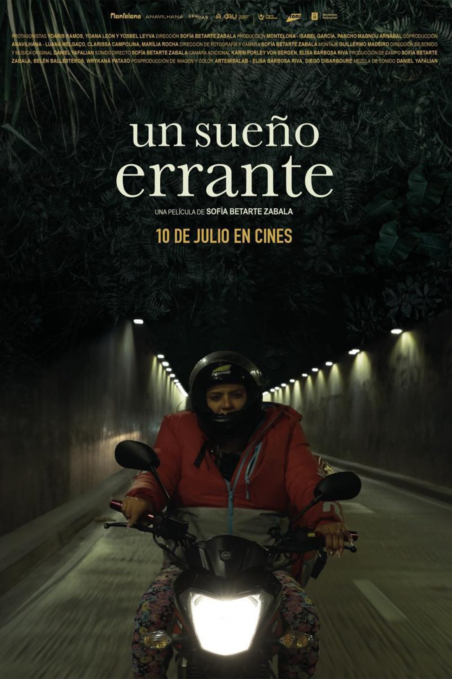 Poster de UN SUEÑO ERRANTE