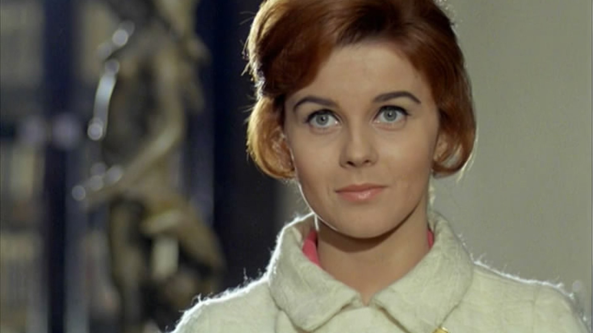 Foto de UN TIGRE EN LA RED