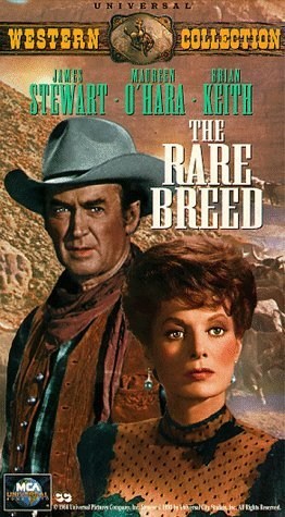 Poster de UNA DAMA ENTRE VAQUEROS
