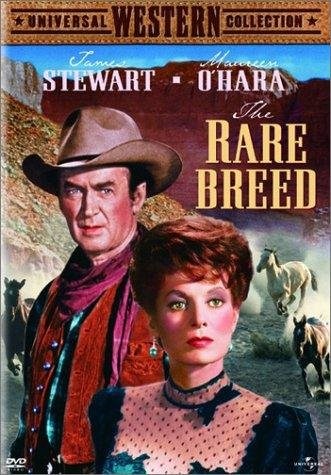 Poster de UNA DAMA ENTRE VAQUEROS