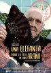 Una elefanta sobre la tela de una araña