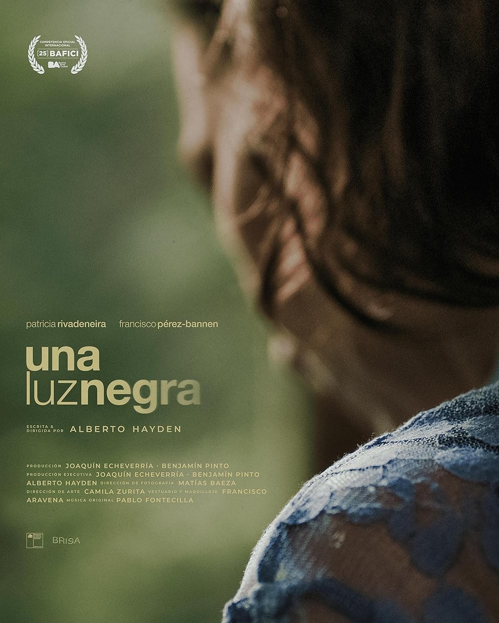 Poster de UNA LUZ NEGRA