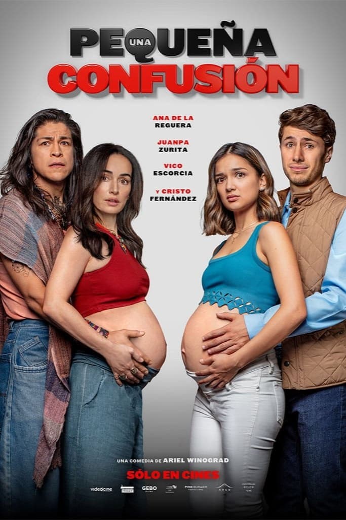 Poster de UNA PEQUEÑA CONFUSIÓN