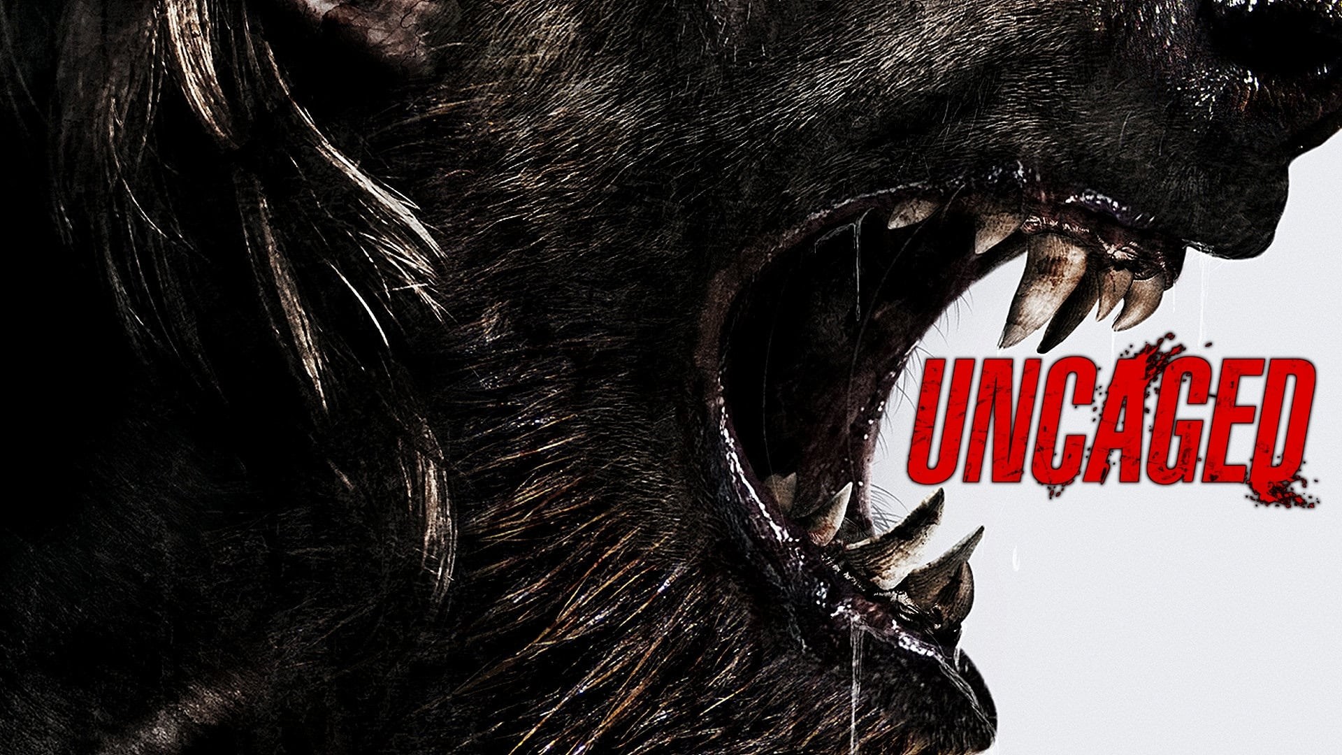 Foto de UNCAGED