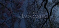 Under the Jacarandas
