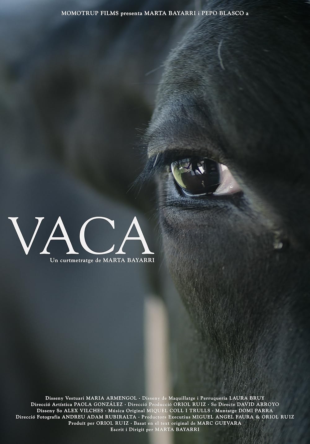 Poster de VACA