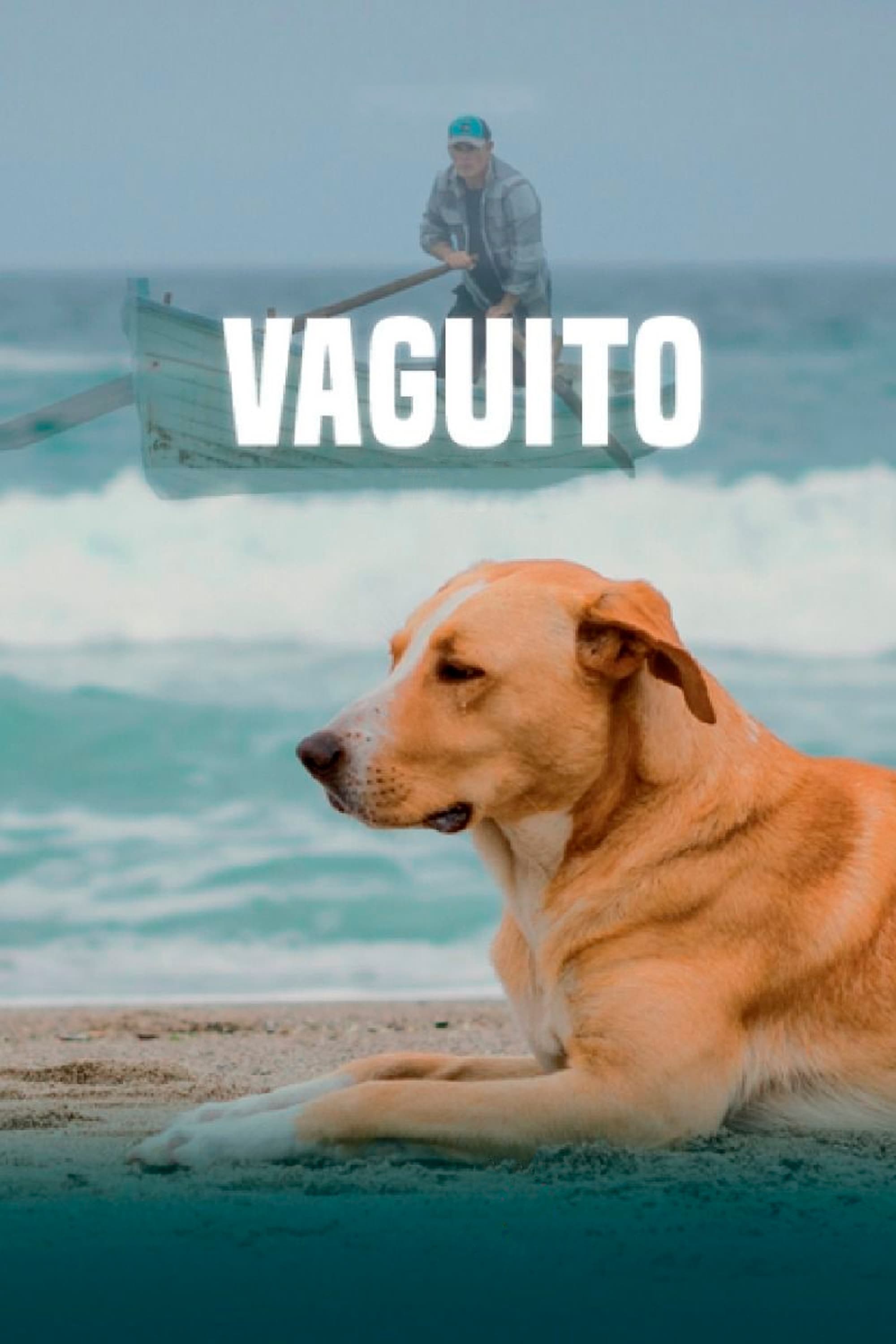 Poster de VAGUITO en español