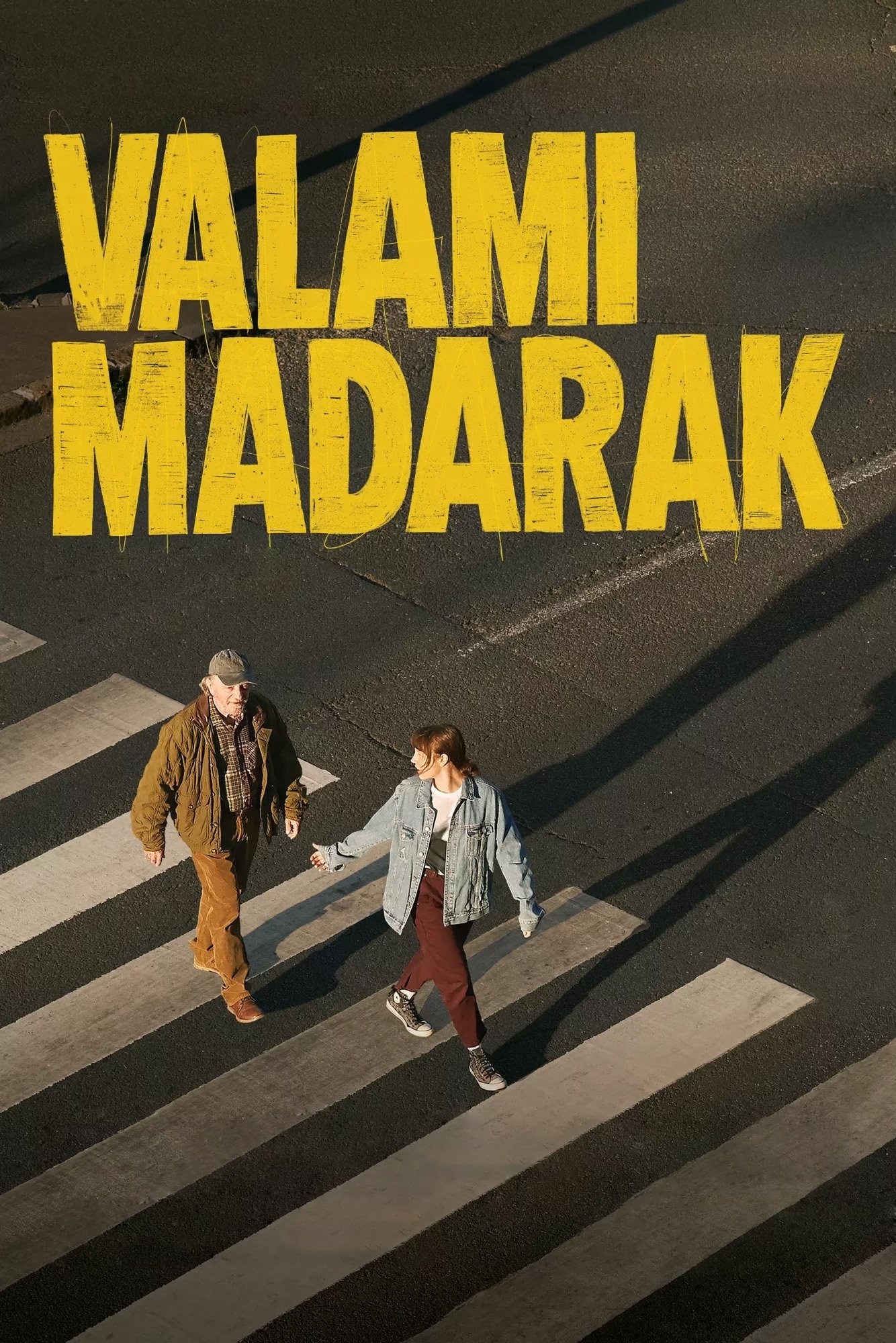 Poster de VALAMI MADARAK