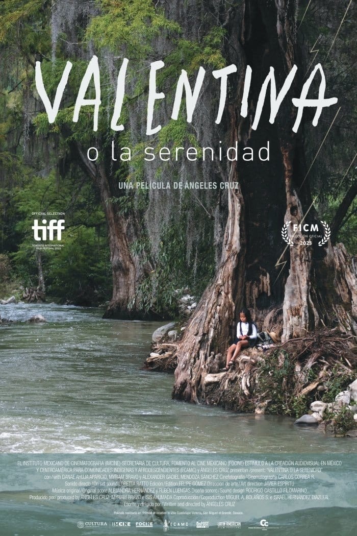 Poster de VALENTINA O LA SERENIDAD en español