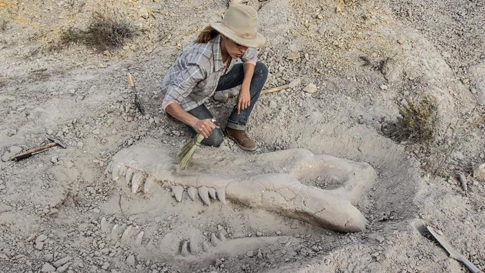 Foto de VALLEY OF BONES