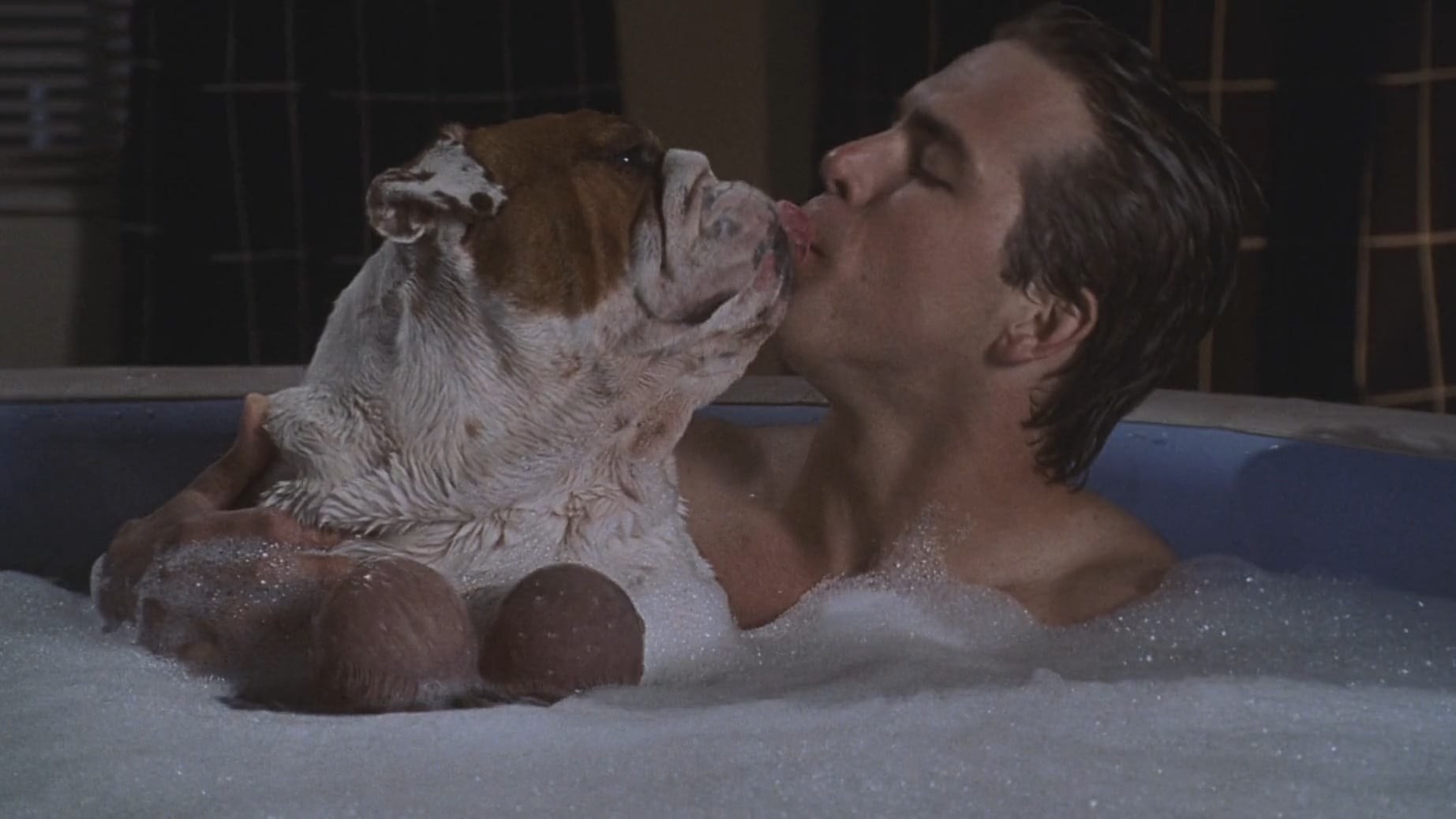 Foto de VAN WILDER: ANIMAL PARTY