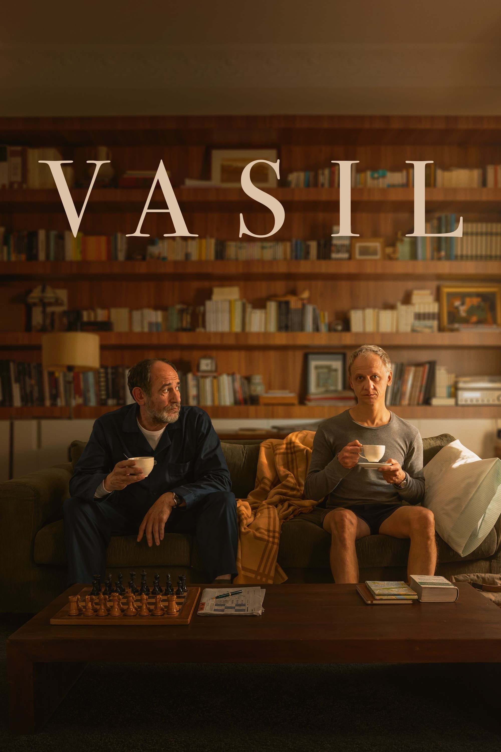 Poster de VASIL en inglés