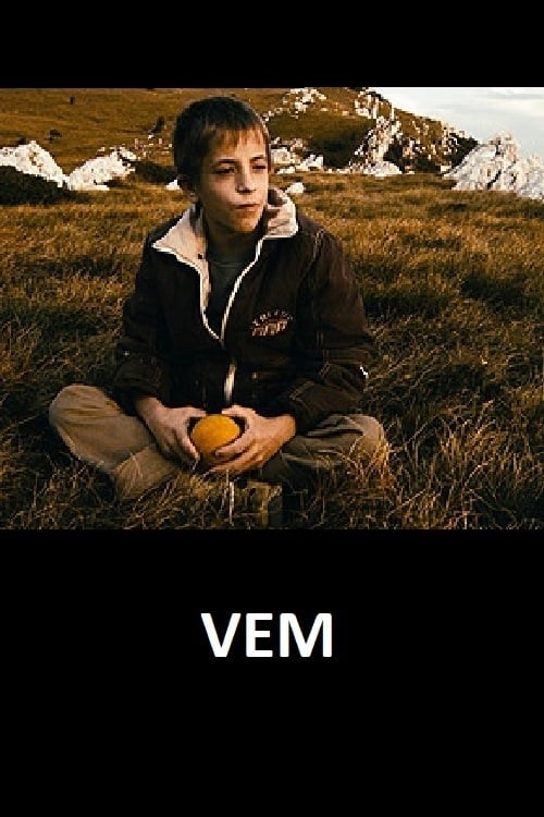 Poster de VEM
