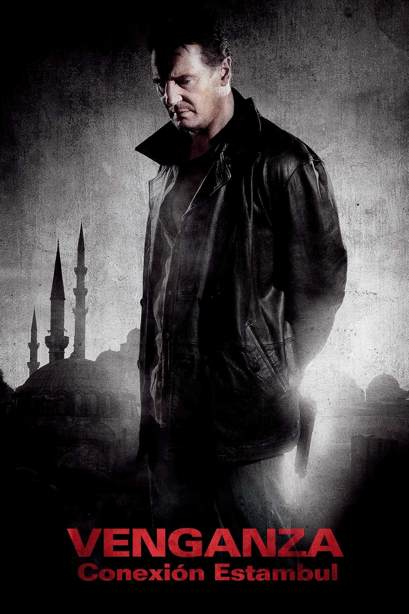 Poster de VENGANZA: CONEXIÓN ESTAMBUL en español