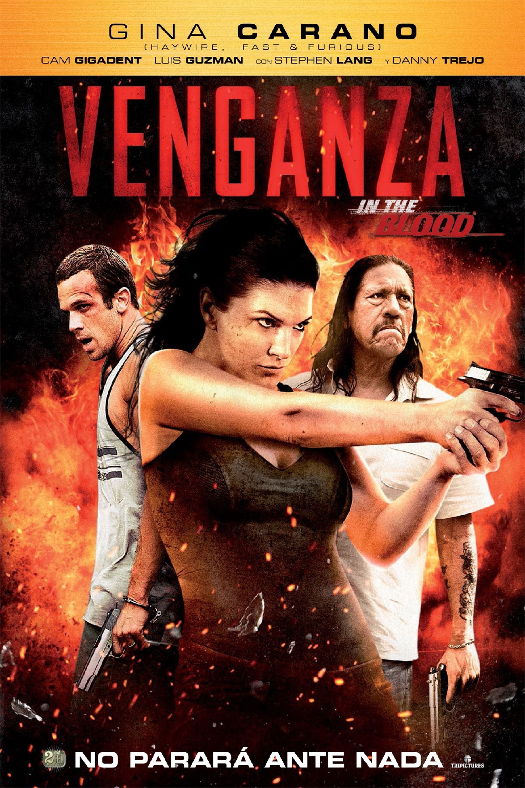 Poster de VENGANZA (IN THE BLOOD) en español