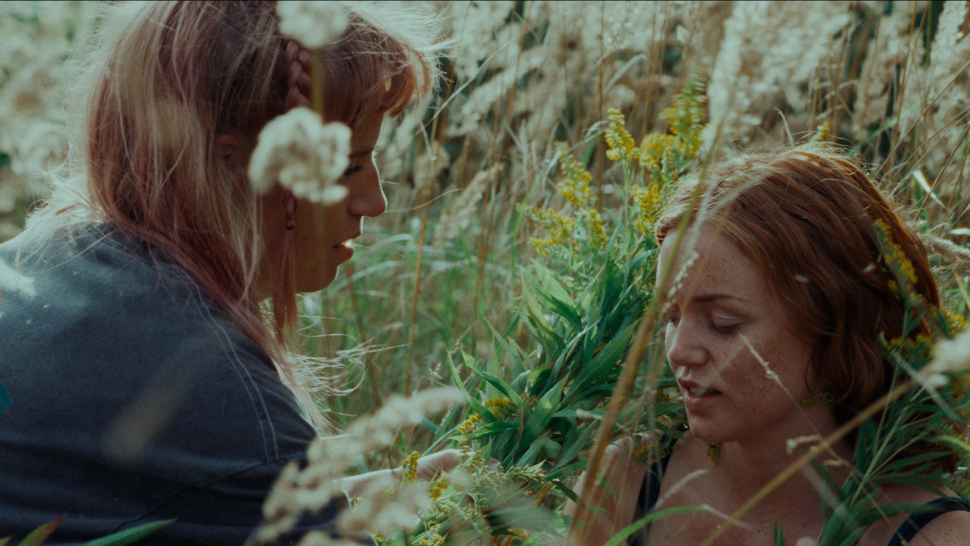 Foto de VENUSEFFEKTEN