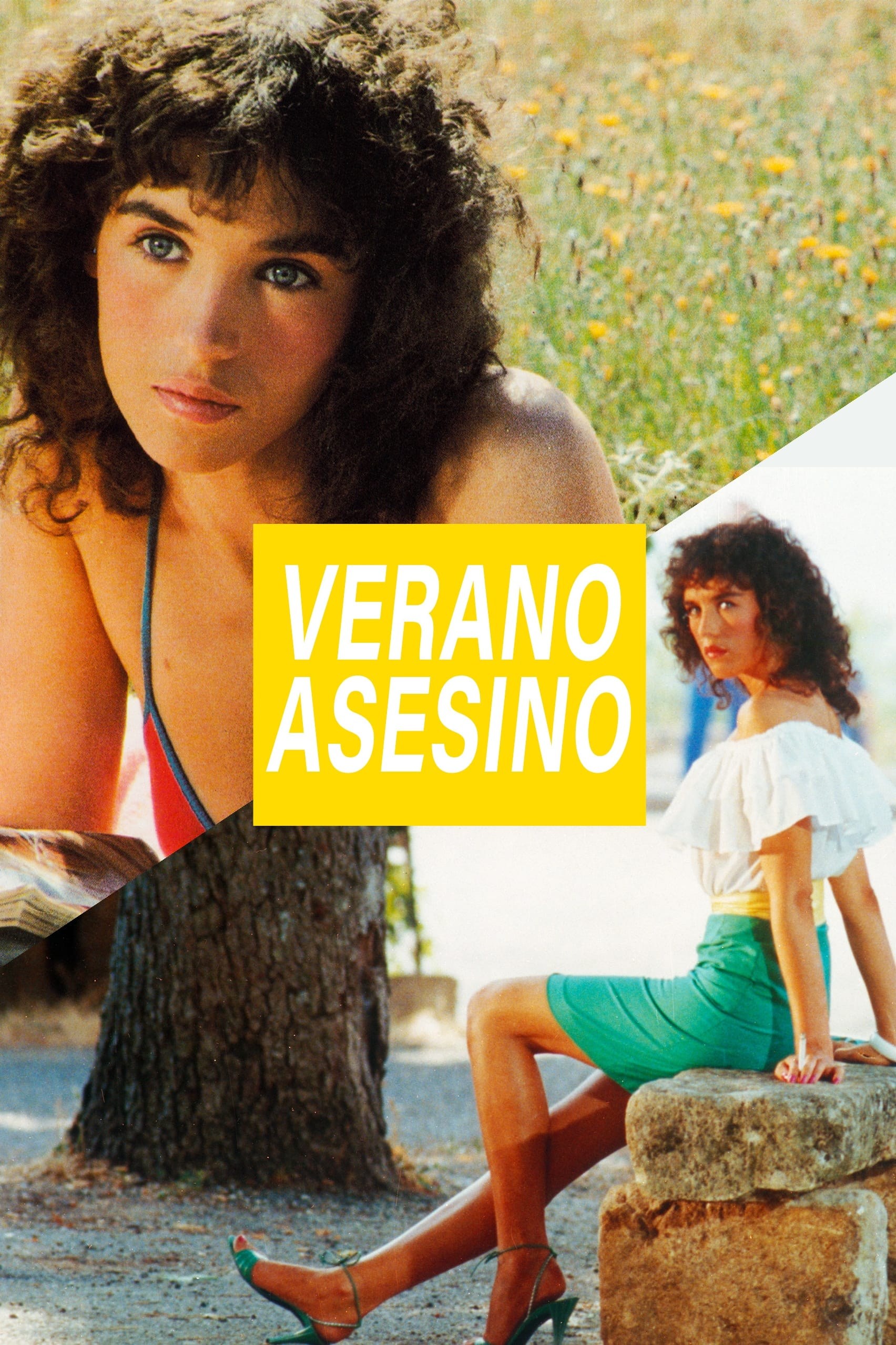 Poster de VERANO ASESINO en español