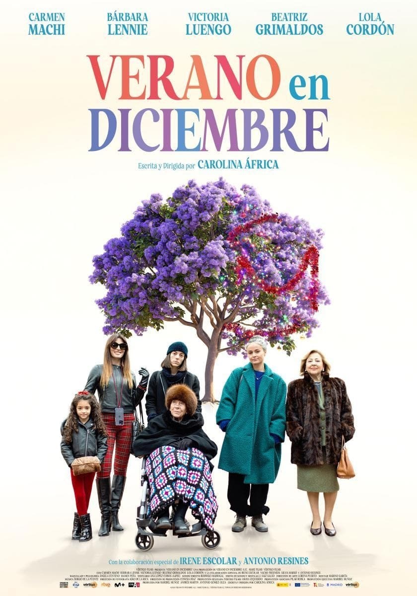 Poster de VERANO EN DICIEMBRE