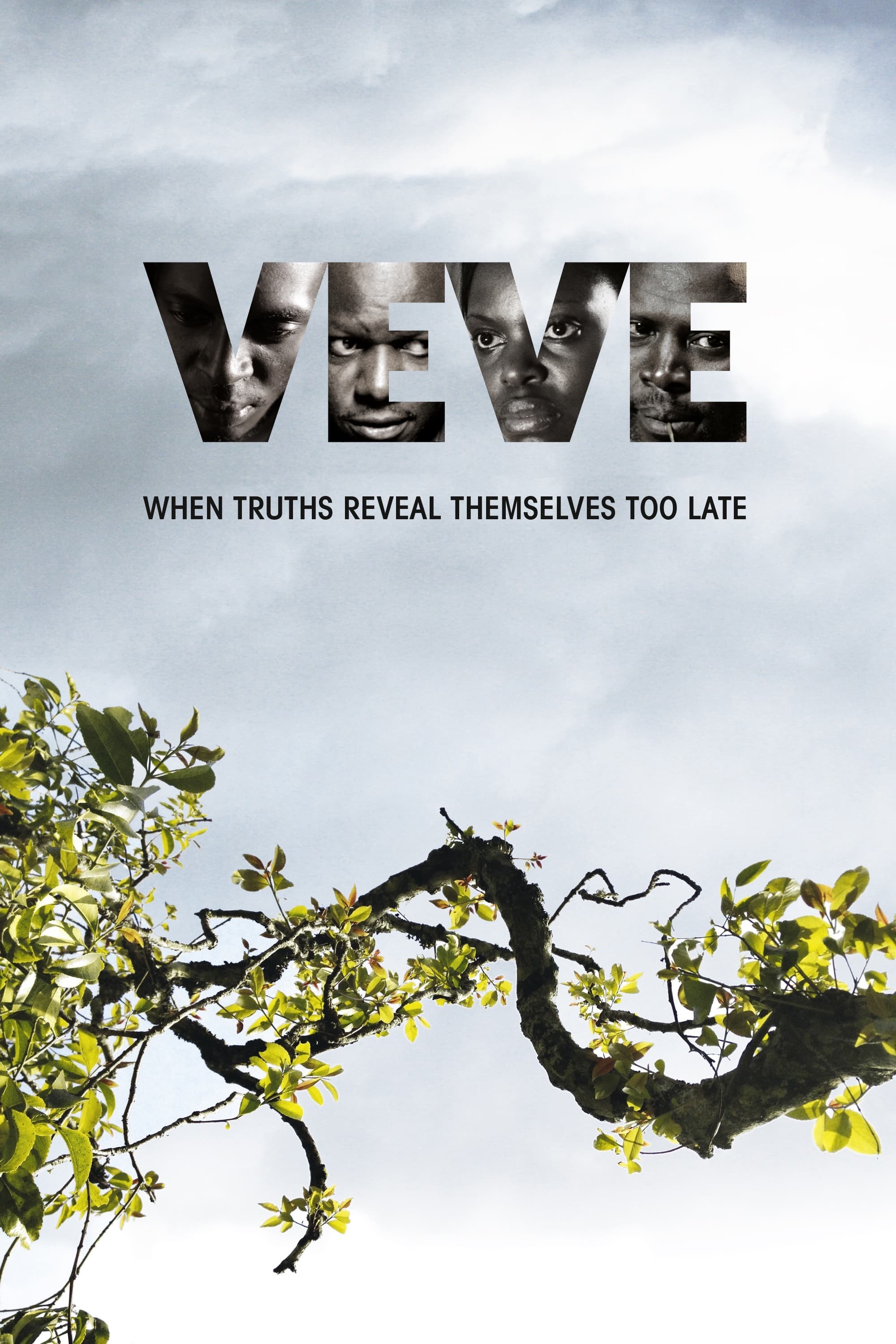 Poster de VEVE en inglés