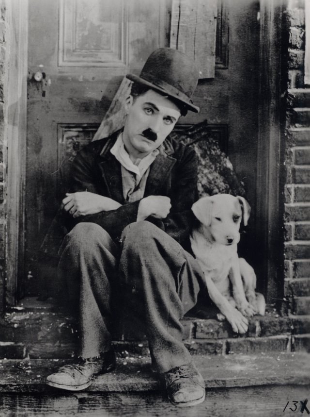 Poster de VIDA DE PERRO