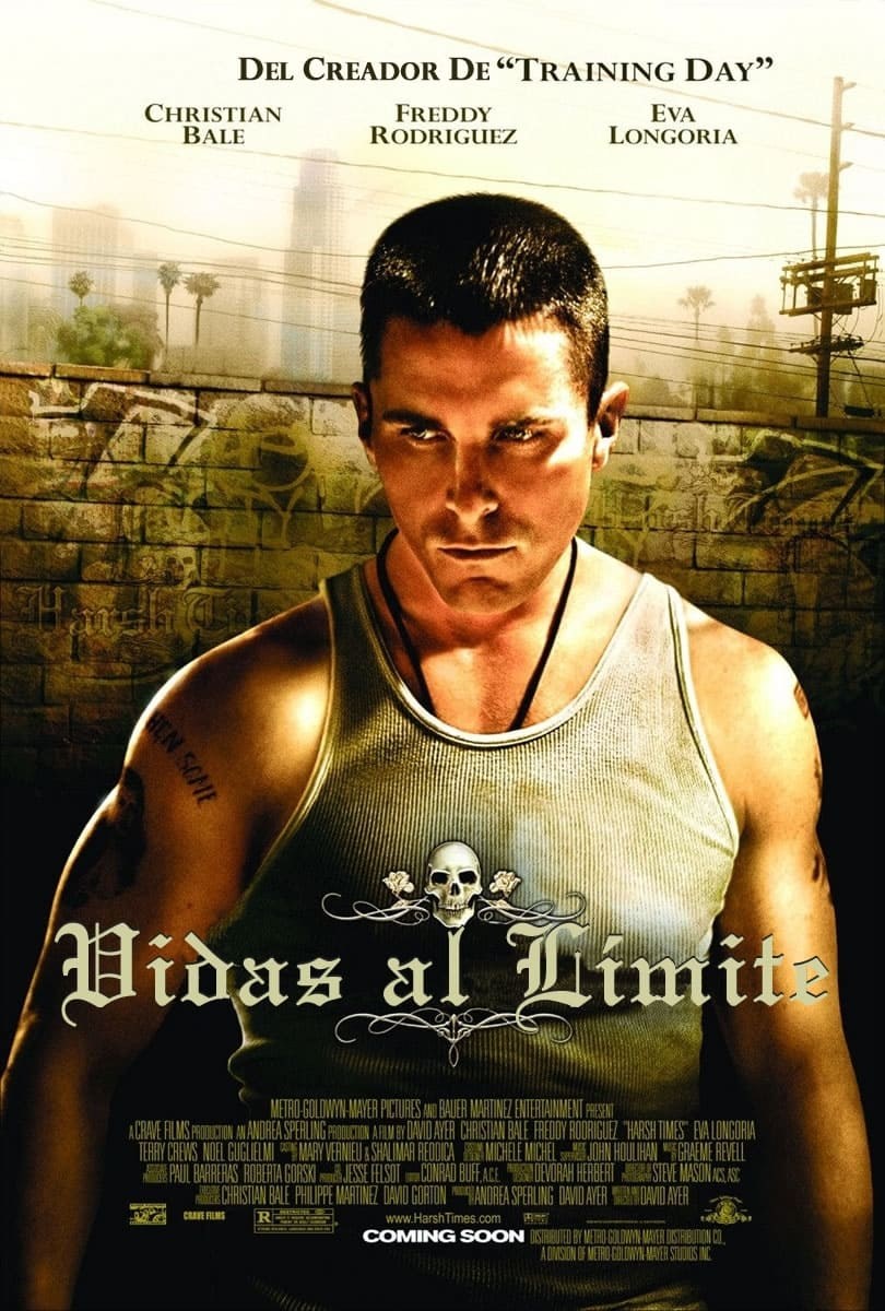 Poster de VIDAS AL LÍMITE en español