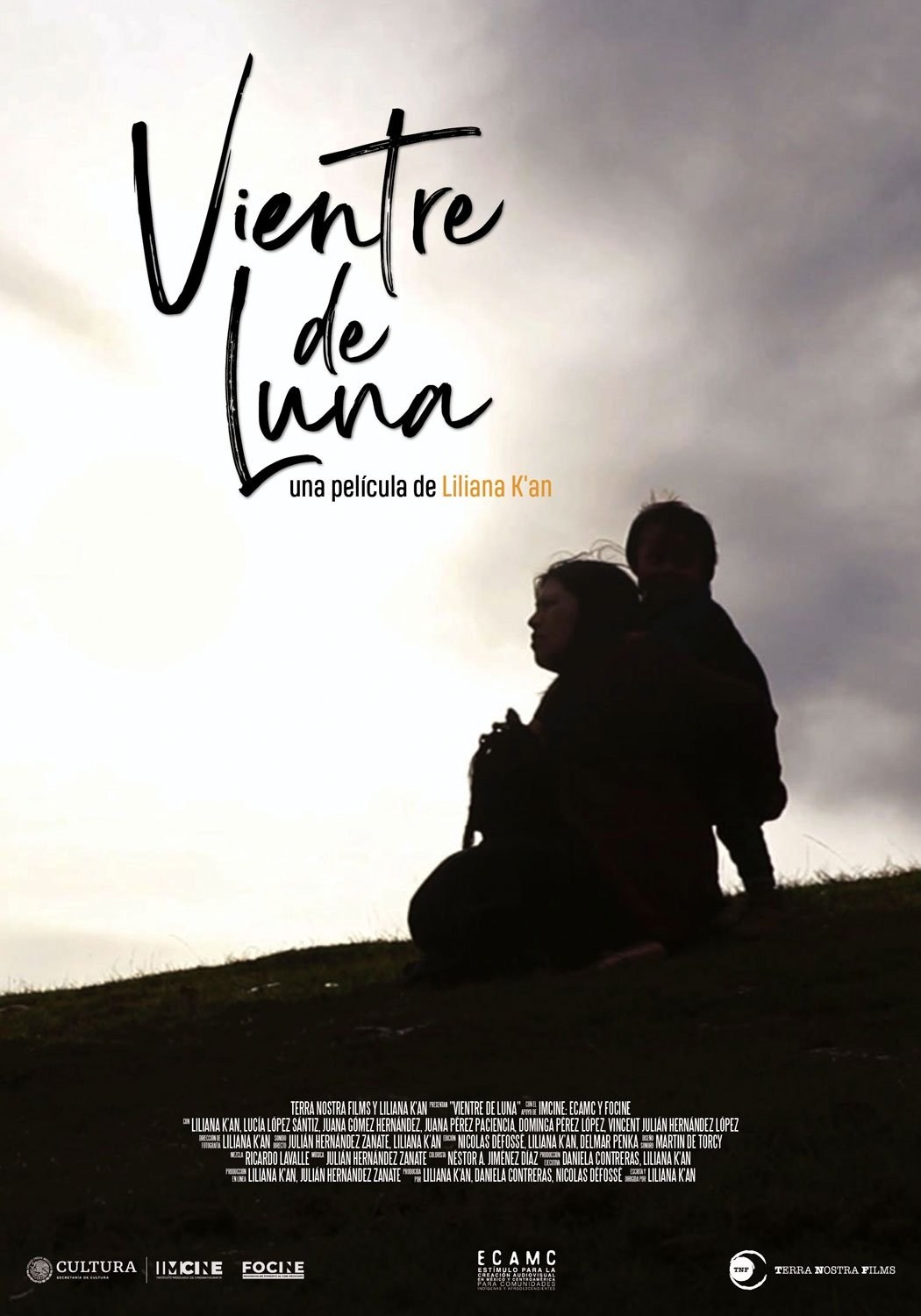 Poster de VIENTRE DE LUNA