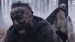 Vikings