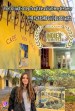 Vincent van Gogh's Footsteps